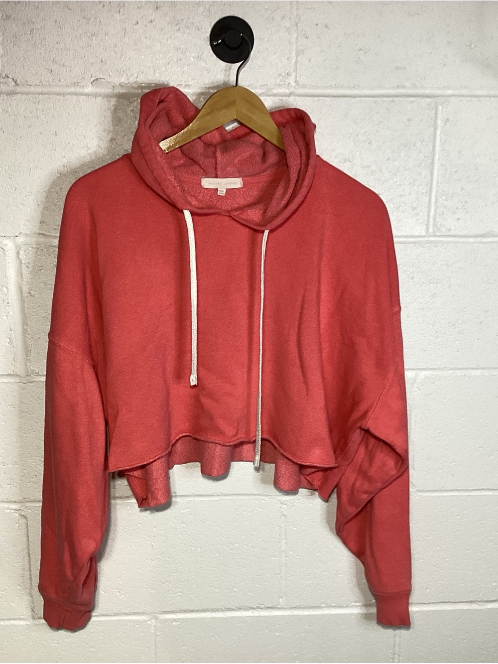 Gilded Intent from Buckle Cropped Coral Pullover Hoodie